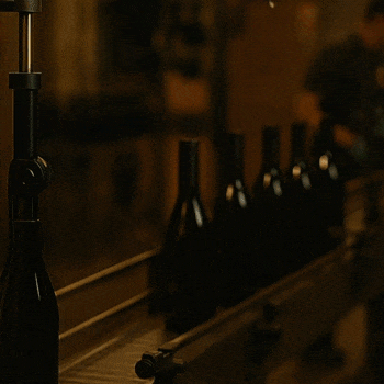 bouteilles_usine